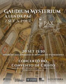 Gaudium Concerto 